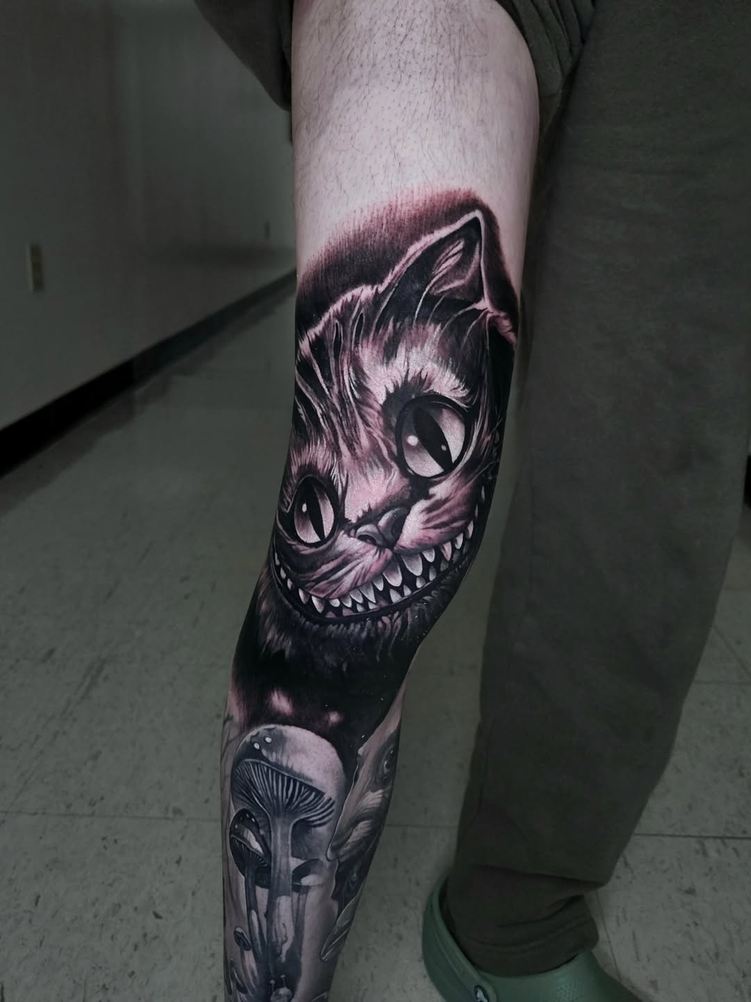 Animal