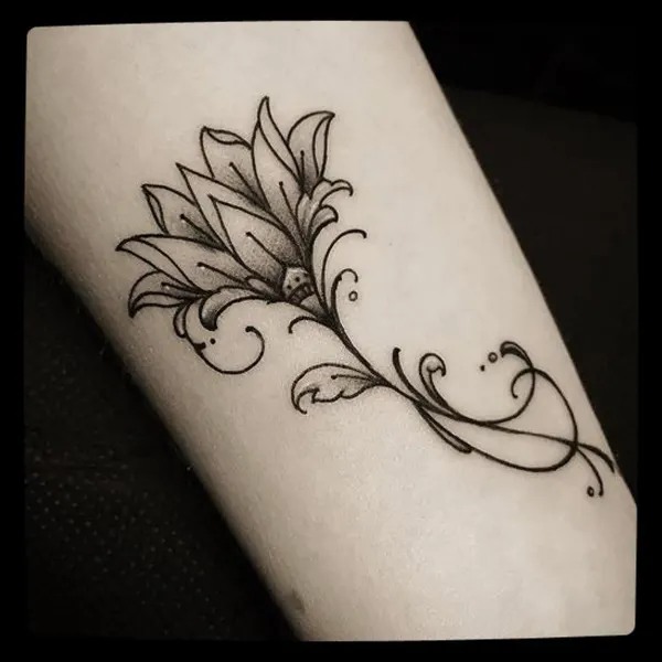 Flower, Rose, 장식