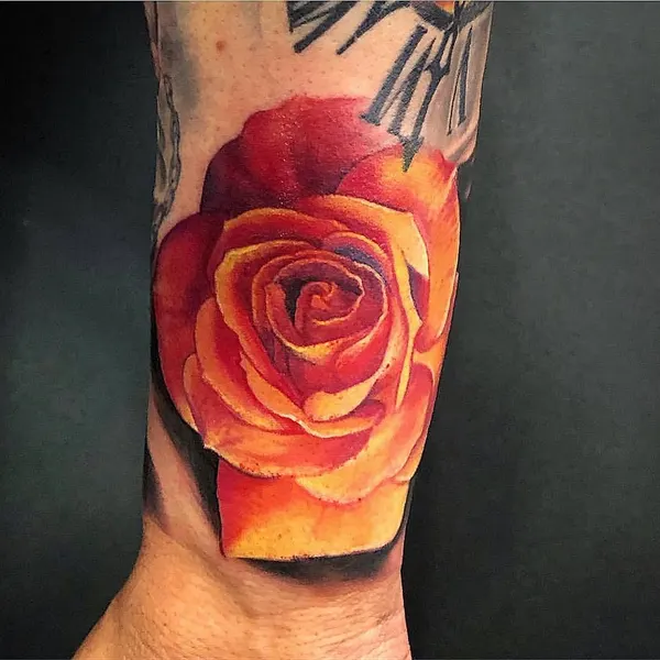Flower, Rose