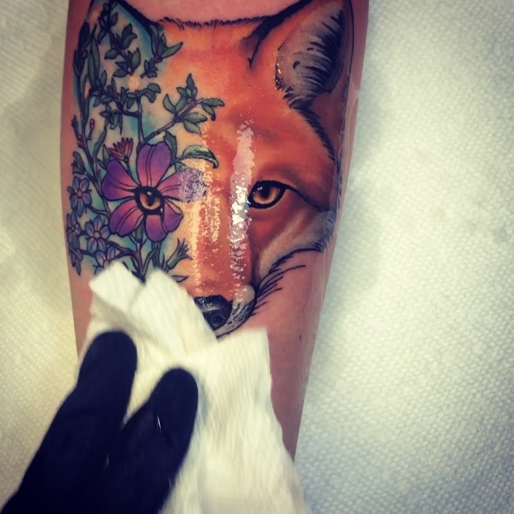 Animal, 여우