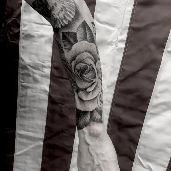 Flower, Rose