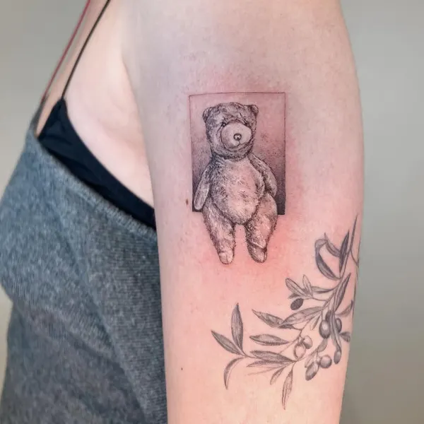 곰, 코알라