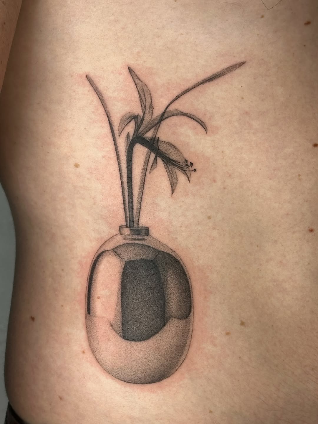 plantsnpokes