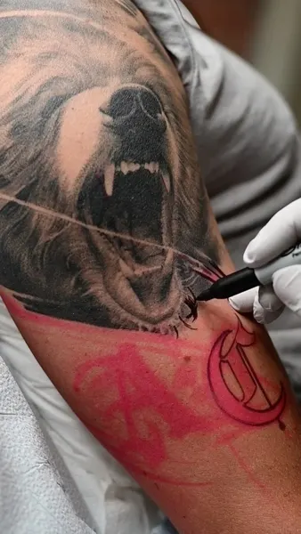 Animal, Tiger