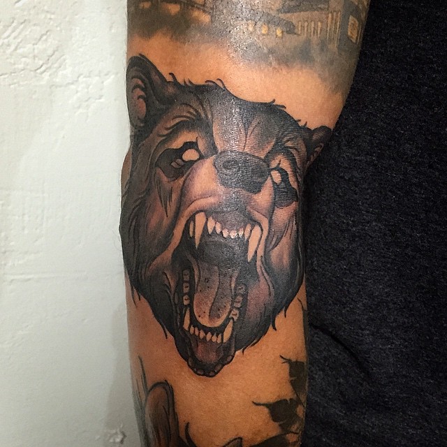 Animal, Tiger, 고릴라