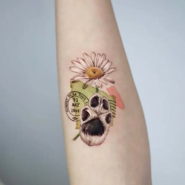 Animal, 선인장