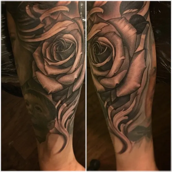 Flower, Rose