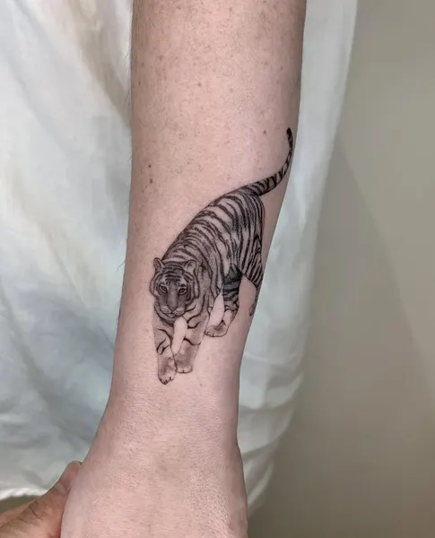 Tiger