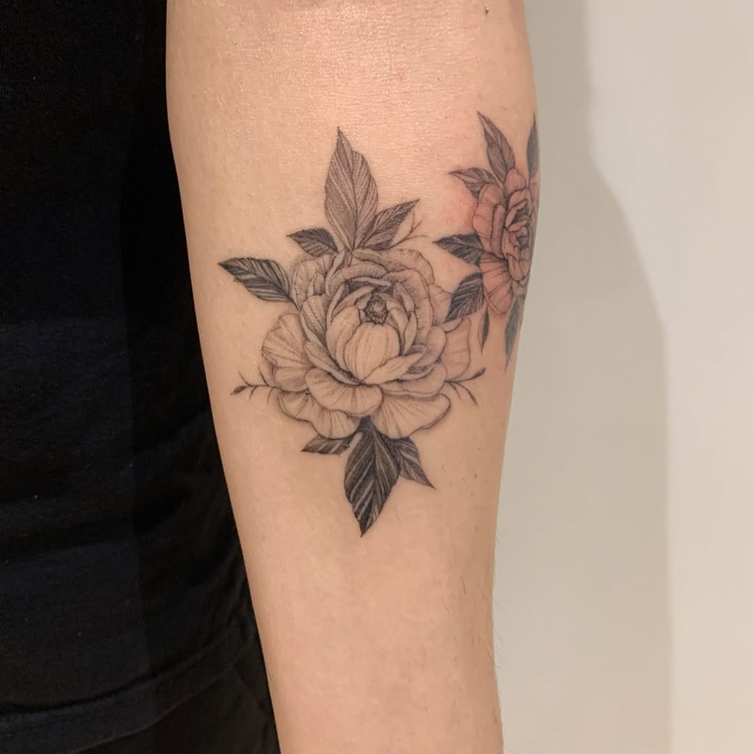 Rose, Flower, 목련