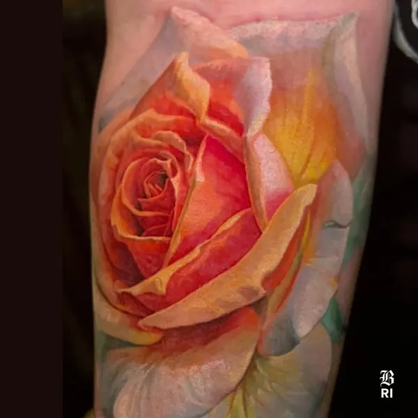 Flower, Rose