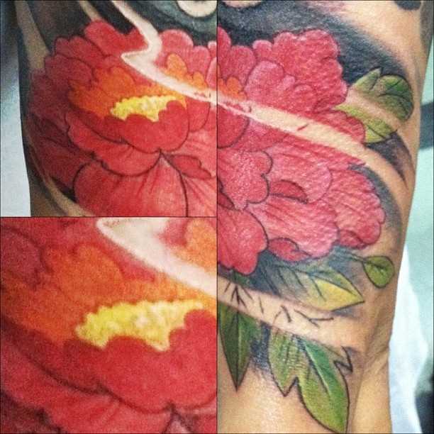 Flower, Rose