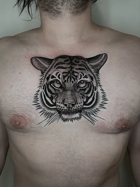 Tiger, 한국 호랑이, 중국 호랑이