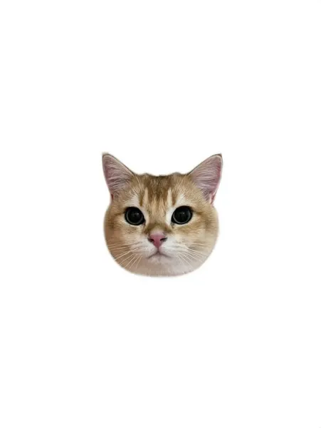 함사, 마네키네코, 텐구, 고양이