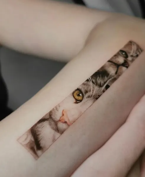 너구리, 다람쥐, 여우 가면, Animal
