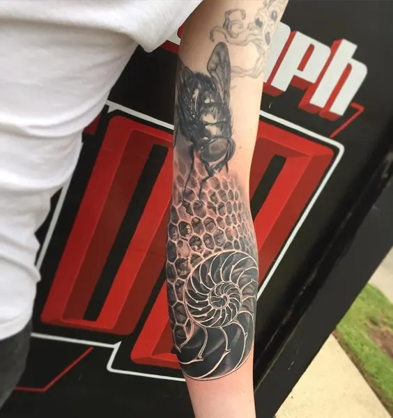 daniil.naraev