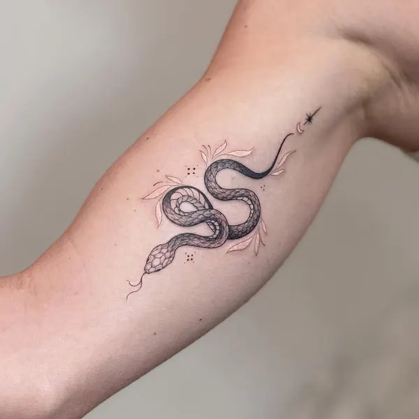 Dragon, 전갈자리, Snake, 백조