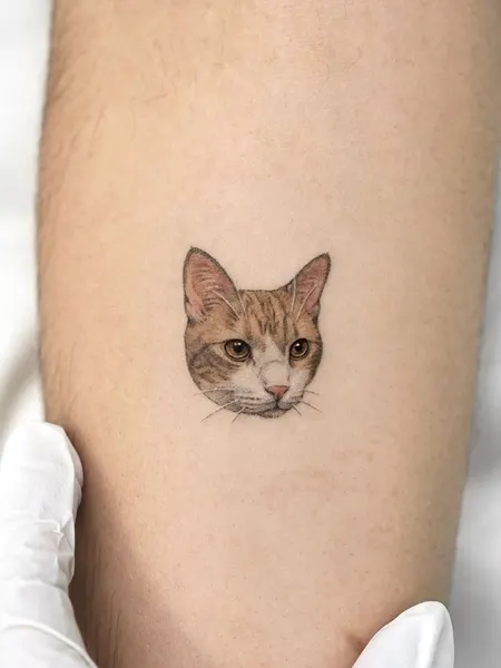 텐구, 함사, 고양이, 마네키네코, 여우 가면, 반려동물