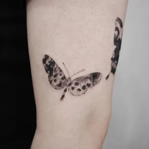 Animal, Nature