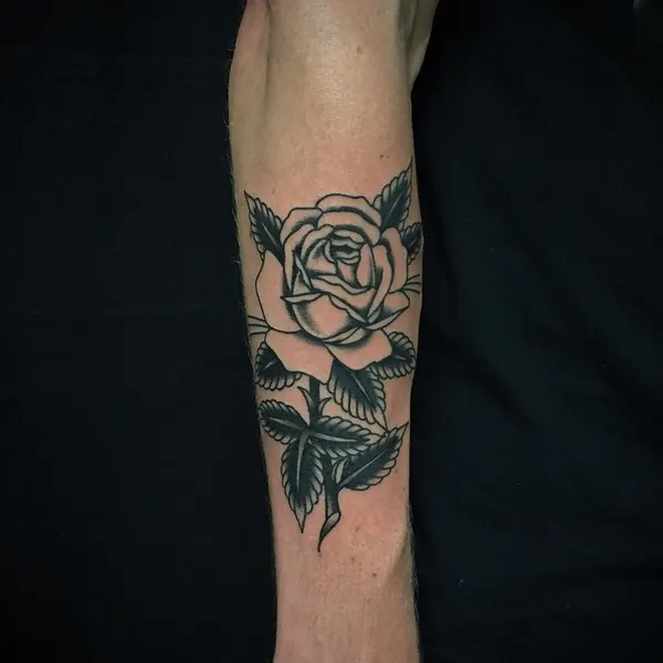 Flower, Rose