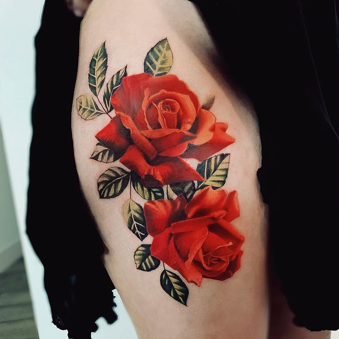 Flower, Rose, Nature