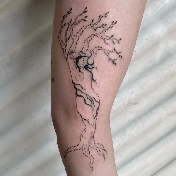 Nature, 나무, 소나무, 뿌리