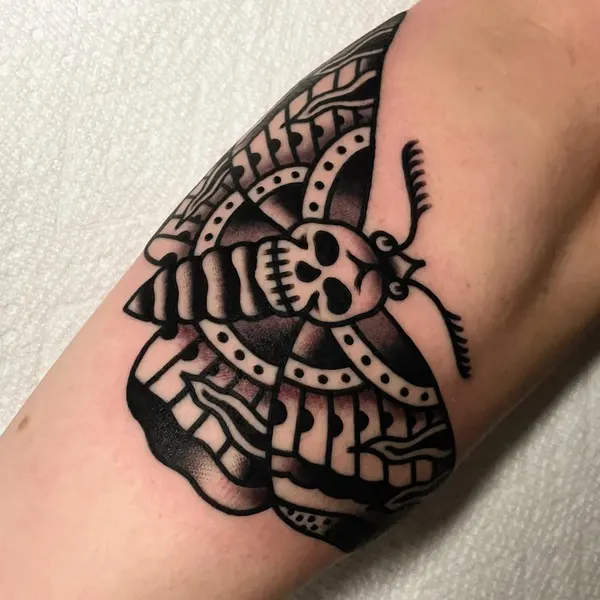 Tiger, Animal