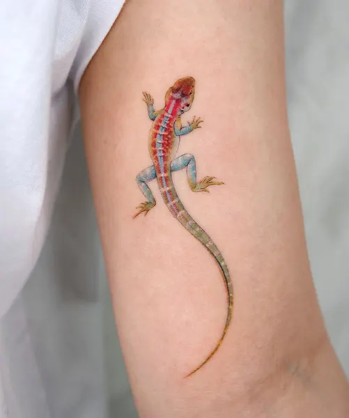 도마뱀, Dragon