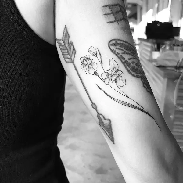 Flower, Rose, 단검