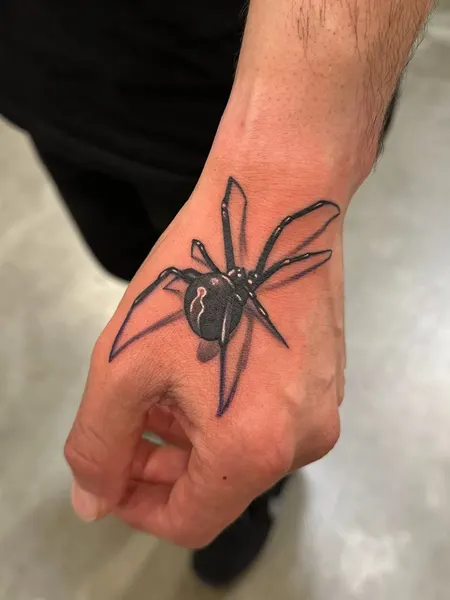 Animal, 거미