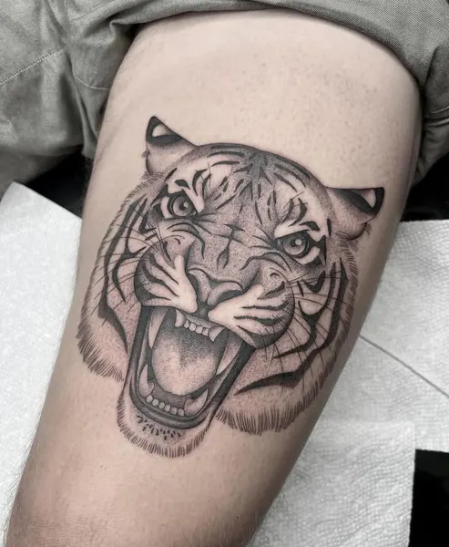 Tiger, 한국 호랑이