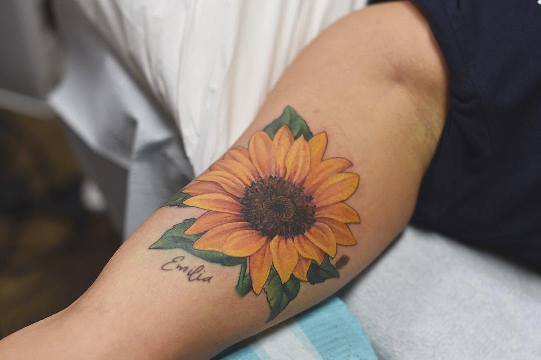 Flower, 해바라기, 수선화