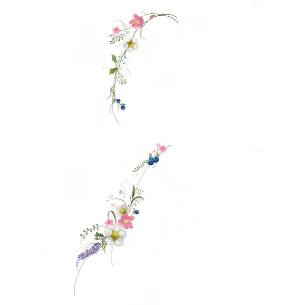 Flower, Nature