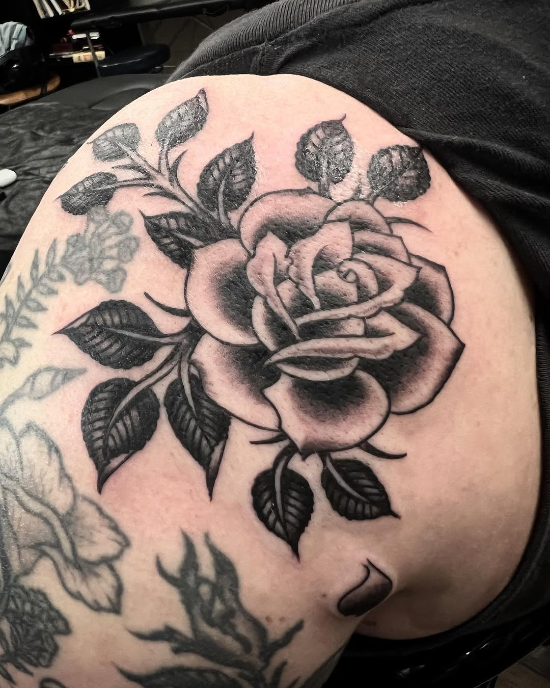 Flower, Rose, Nature