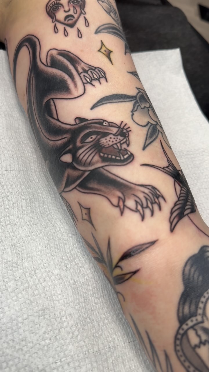 Animal, Tiger, Dragon