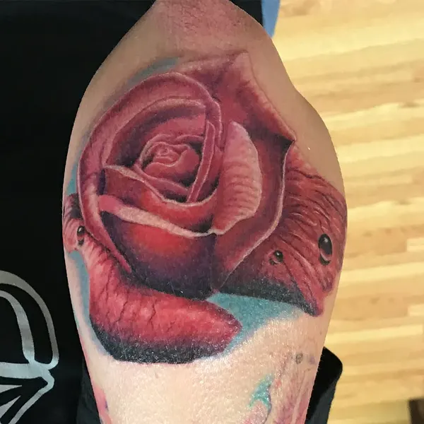 Flower, Rose
