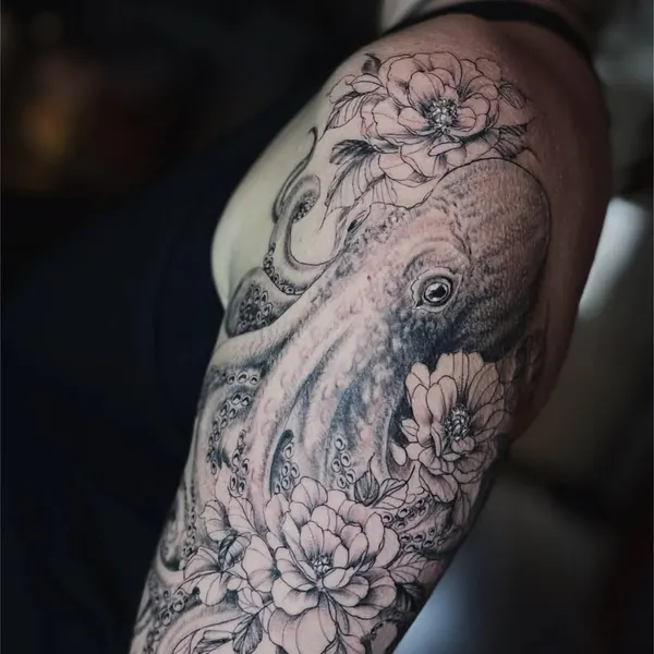 Animal