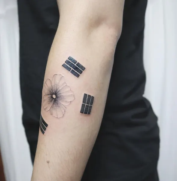 Flower, 부채, 운명, 카메라