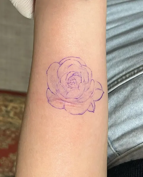 Flower, Rose