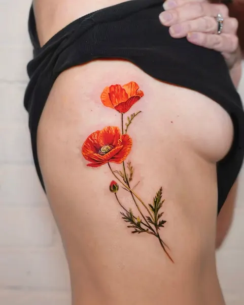 Flower, Rose, 양귀비