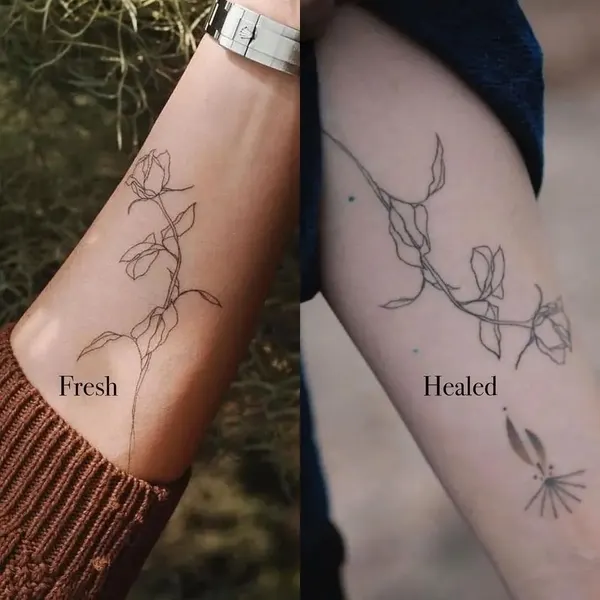 Flower, 뿌리, 허브