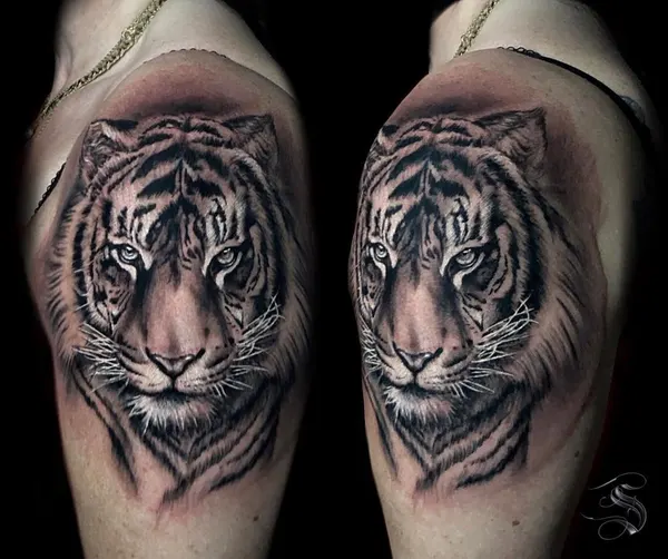 Tiger, 중국 호랑이