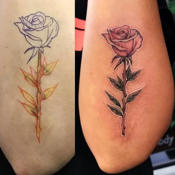 Flower, Rose