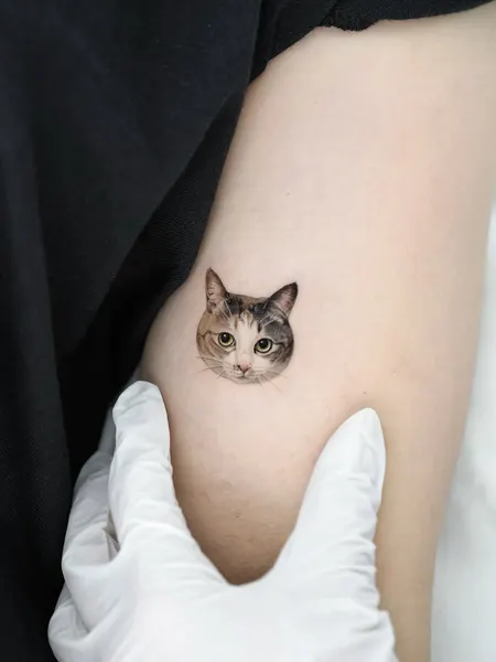 Animal, 고양이, 마네키네코, 텐구, 함사, 반려동물, 반려동물 추모, 여우 가면