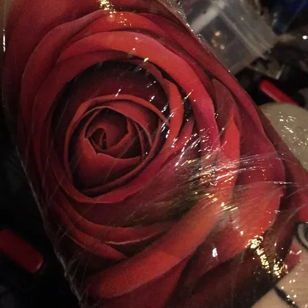 Flower, Rose