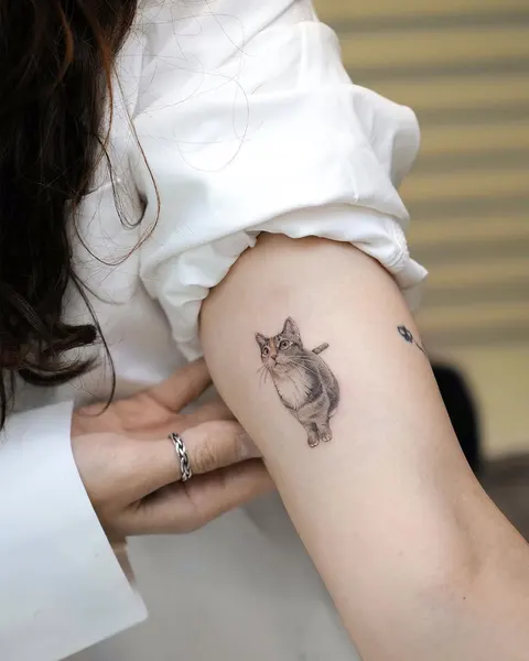 soltattoo