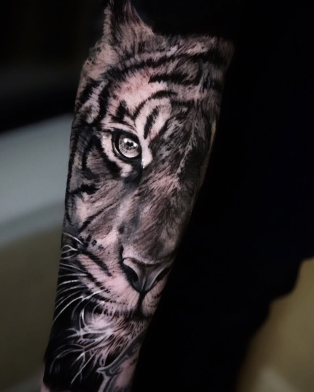 Tiger, 한국 호랑이, 일본 호랑이
