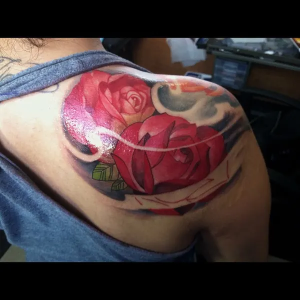 Flower, Rose, Nature