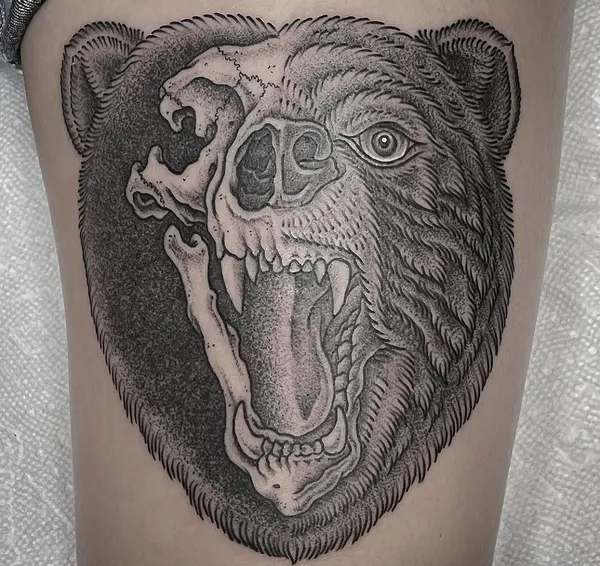 Animal, Tiger