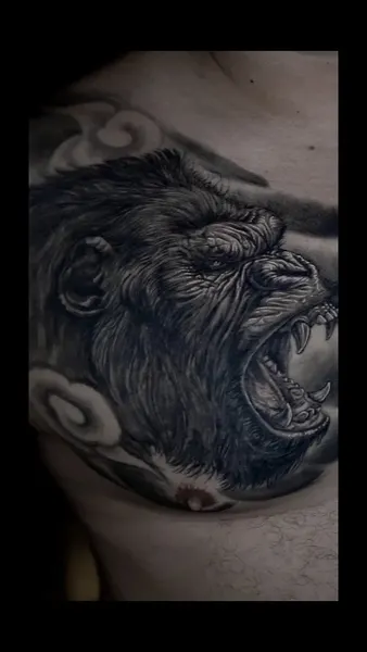 Animal, Tiger, 고릴라