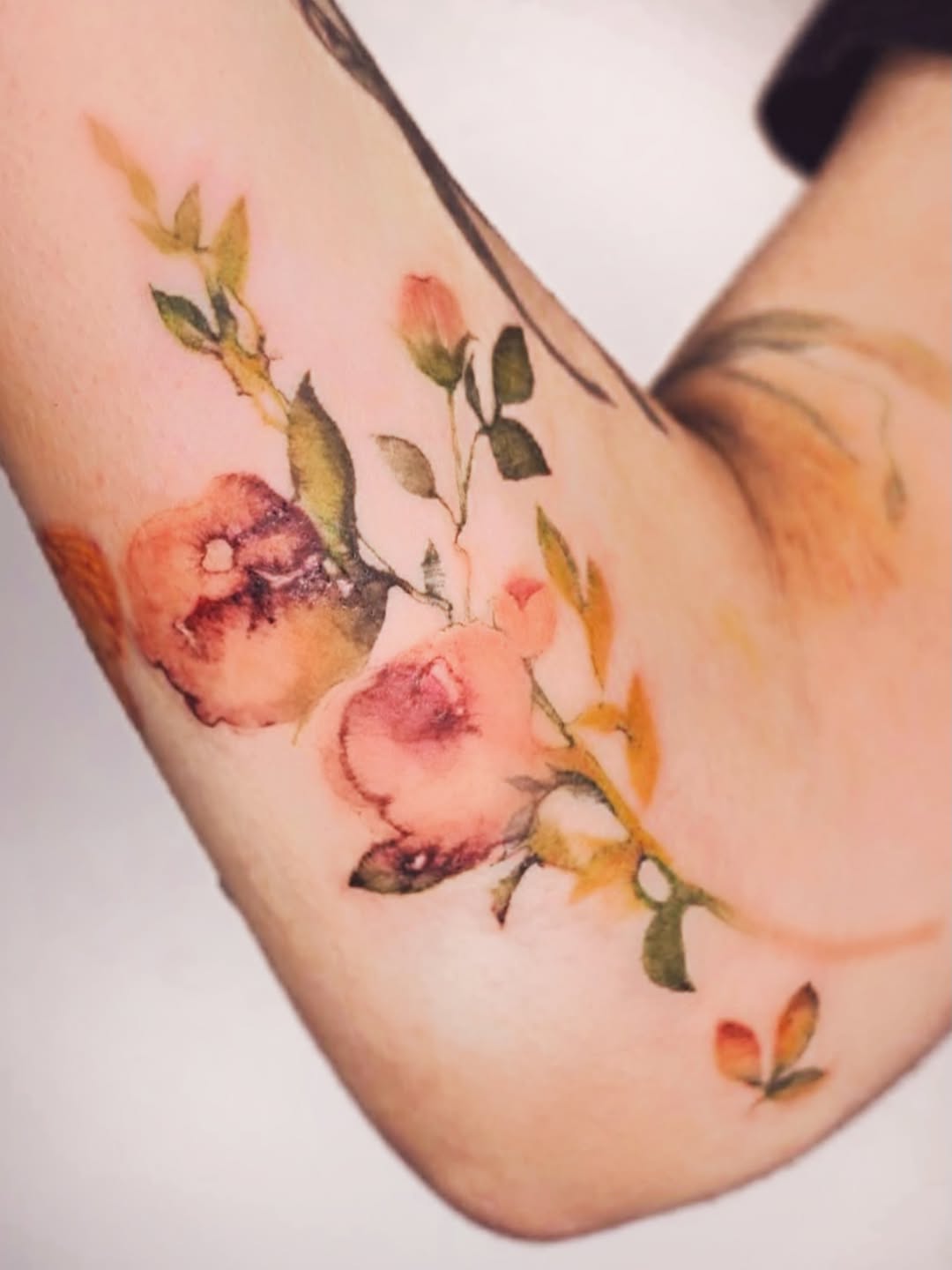 Flower, Rose, 벚꽃